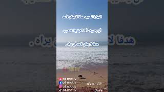 حكم واقوال آرثر شوبنهاور - اقتباسات سوف تغير حياتك #shorts