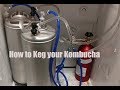 Kombucha Kegging