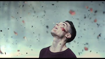 Endgame - Hurricane (Official Video)