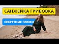 Грибовка и Санжейка. Секретные пляжи недалеко от Одессы | Черное море отдых 2021 | С высоты с дрона