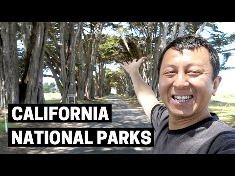 CALIFORNIA MUIR WOODS & POINT REYES | Point Reyes Lighthouse