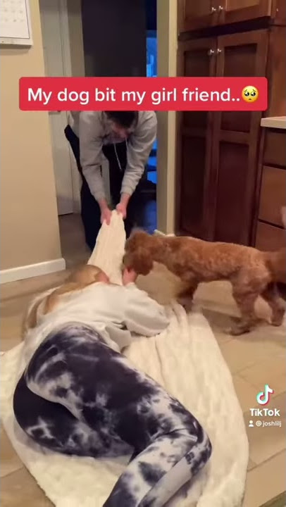 MY DOG BIT MY GIRLFRIEND! #Shorts