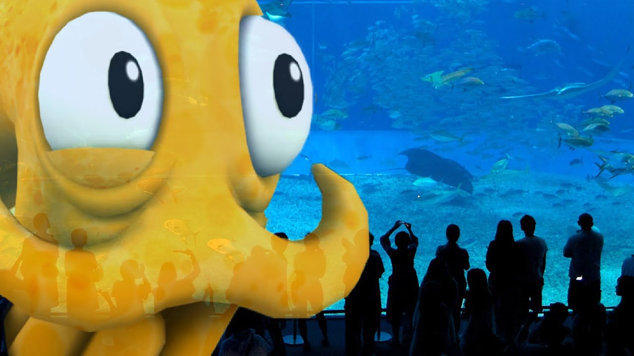 OctoDad at the Aquarium [OctoDad Parody] - YouTube
