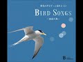 日本野鳥の会 野鳥の声がずっと流れるＣＤ「BIRD SONGS」～海辺の鳥～試聴用