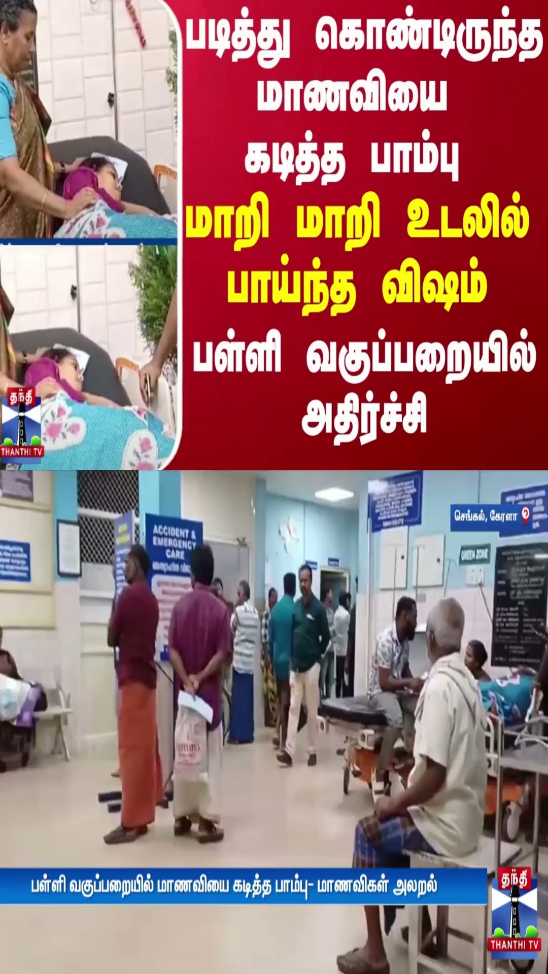 படித்து கொண்டிருந்த மாணவியை கடித்த பாம்பு.. மாறி மாறி உடலில் பாய்ந்த விஷம் - வகுப்பறையில் அதிர்ச்சி