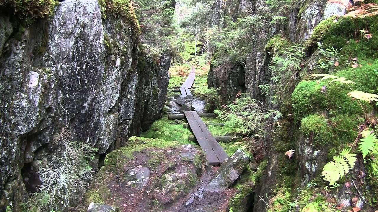 Orinoron rotko syksyllä.  Gorge of Orinoro on Autumn. Leppävirta