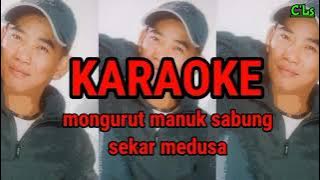 Mongurut manuk sabung (karaoke) - Sekar Medusa