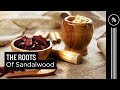 The roots of sandalwood