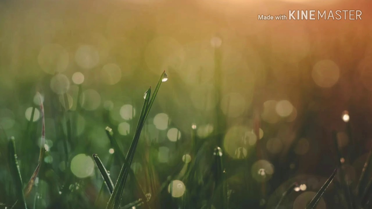 Seventeen-seisi hati lirik - YouTube
