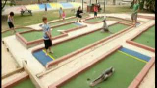 BIG4 Harrington Holiday Park