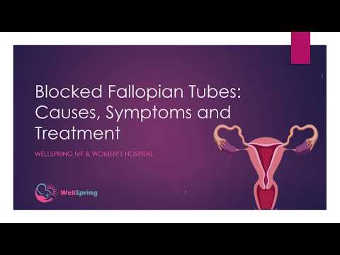 Blocked Fallopian Tubes  Symptoms, causes and treatment