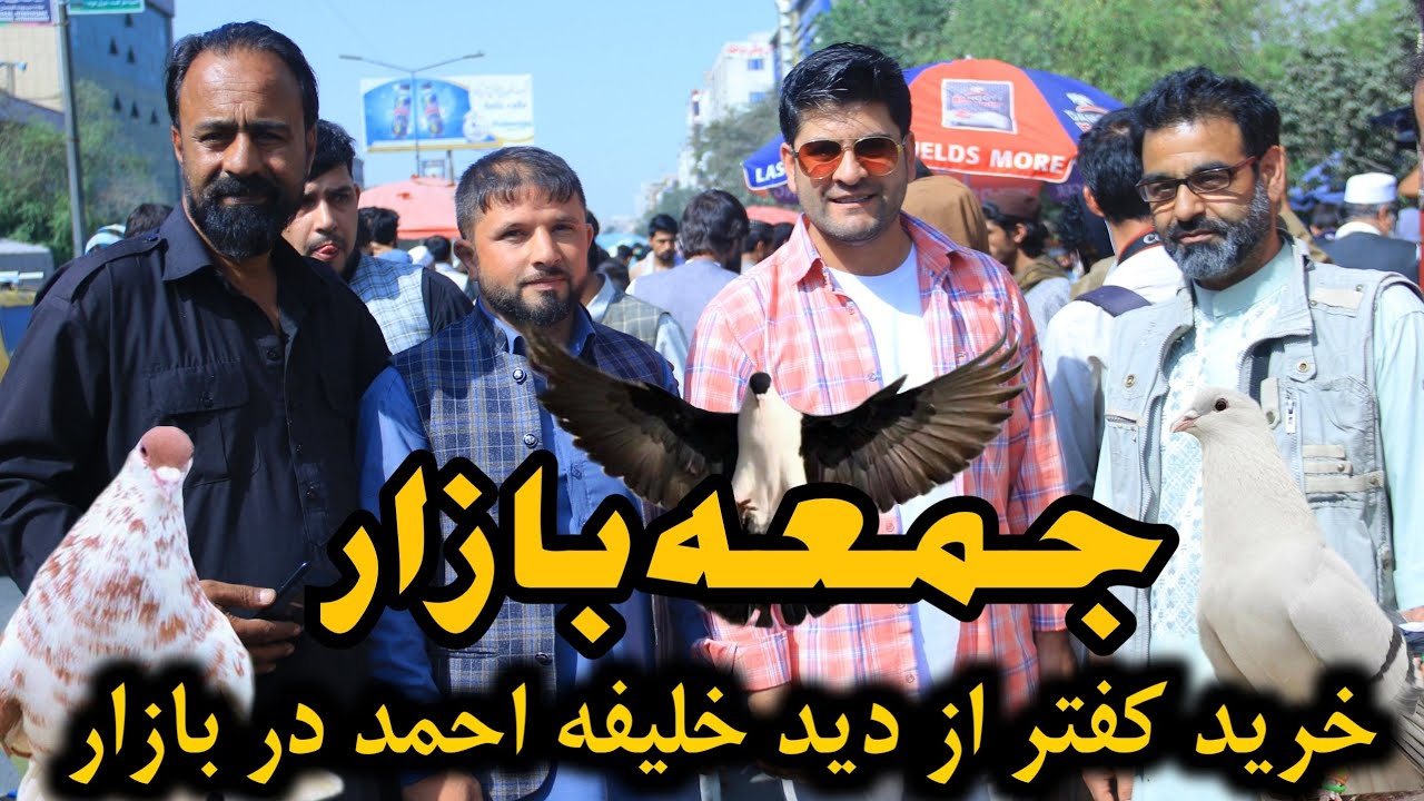 جمعه بازار با خلیفه احمد کفتر شناس | کفتر به صد (۱۰۰) افغانی در بازارلیلام | pigeons Bazar part 129