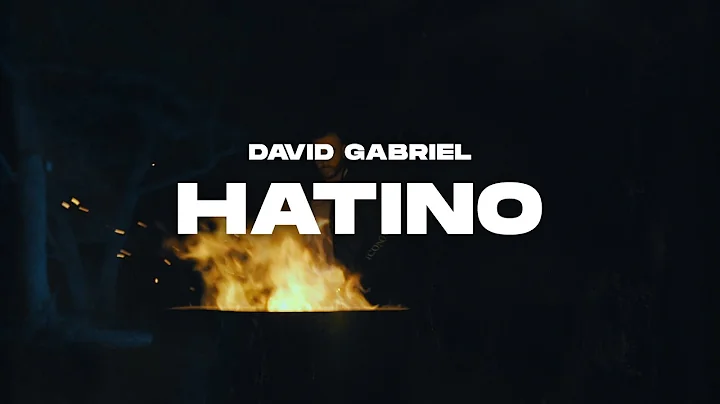 David Gabriel - Hatino