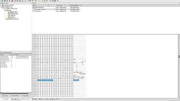 Module 2 FTK Movie   Hex Interpreter