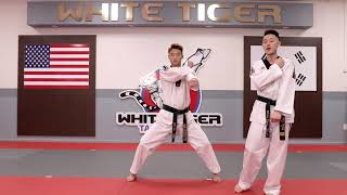 Episode 4 | Form Technique | JH Kim's WHITE TIGER MARTIAL ARTS screenshot 1