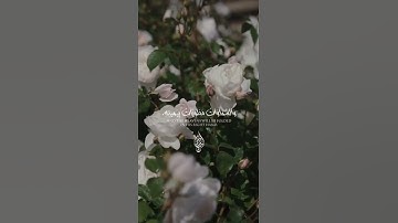 وما قدروا الله حق قدره | القارئ: إسلام صبحي | ما تيسر من سورة الزمر