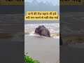 कभी हार मत मानो – ये वीडियो आपकी सोच बदल देगा 💯 #shorts #motivation