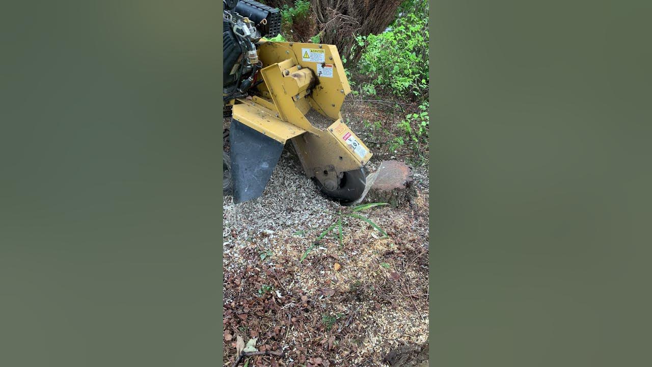Rayco RG37 stump grinder YouTube