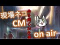 現場猫CM の動画、YouTube動画。