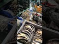 brake assembly for agriculture vehicle