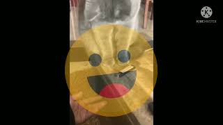 Best Funny Animal Videos Dog Anh Cats
