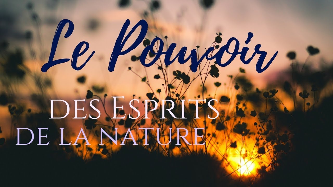 Quel est le pouvoir des esprits de la nature ? - YouTube