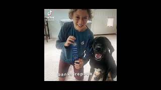The Black Phone Cast - Tiktok Edits