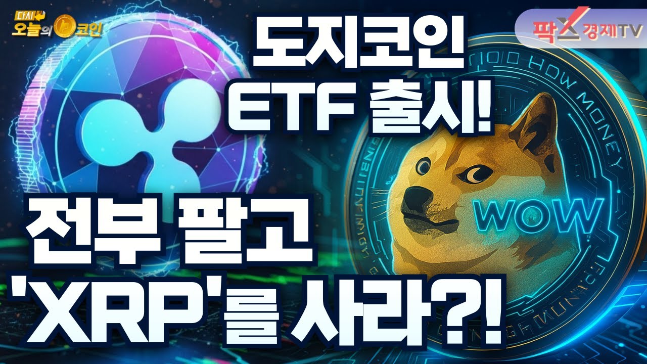 XRP, 하루 새 12% 급등 / 미국 첫 도지코인 현물 ETF 출시 [251125 다시 오늘의 코인] (김명현,권지영)