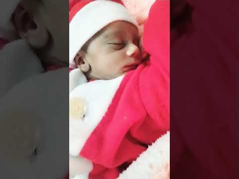 Lori #tiktok #viral #short #baby #love #shortvideo #shorts #lori