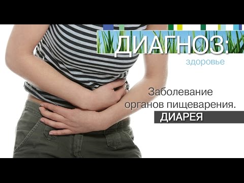 Видео: Диария поради Clostridium Perfringens при котки