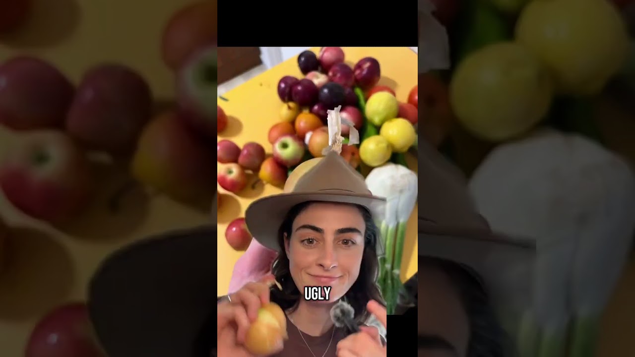 🧅 Onions and their many layers 🧅