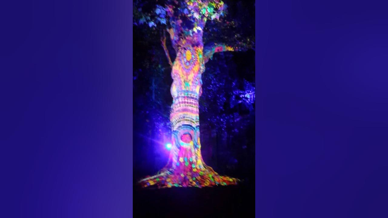 Bayeux tree of liberty light show San Francisco YouTube