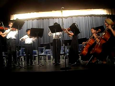 Palladio Grant Sawyer Chamber Orchestra