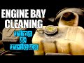 Engine Bay Cleaning Tips and Tricks!  #autodetailing #mobiledetailing