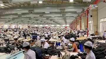 BR-VT nhiều giải pháp thúc đẩy tăng trưởng xuất khẩu | BRTgo