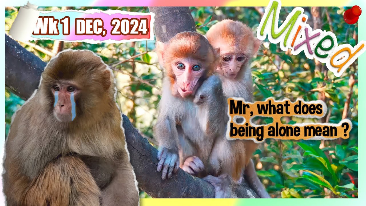 One weird day 😥 - the lonesome lil boy makes me weep.....