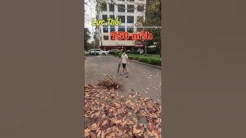 Máy thổi lá pin WORKFIX 3 Tốc độ Không chổi than 1000w Động cơ lớn 12 cánh quạt