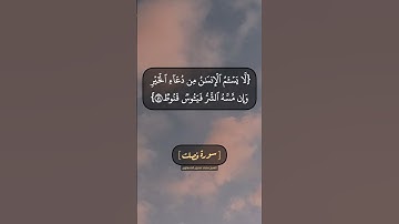 سورة فصلت الآية ٤٨ و ٤٩ بصوت الشيخ محمد صديق المنشاوي