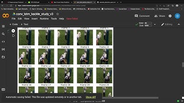 Next-Frame  Football Video prediction