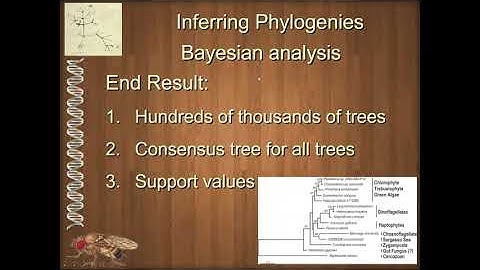 BIOL 6330 Unit 1 8 2 Bayesian Analysis and Markov Chain Monte Carlo