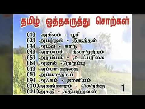 Tamil - Same Meaning and Different Words - YouTube