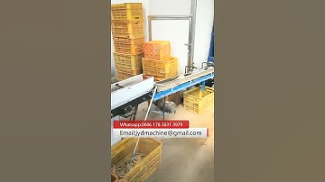 Fully Automatic Paper Cone Making Machine