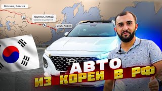 Авто из Южной Кореи в РФ