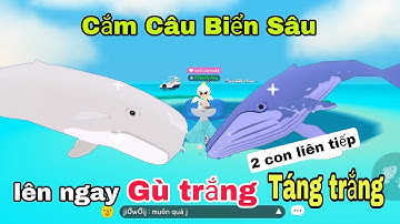 (Play Together) Câu Cá Bóng 6 Bất Ngờ Lên Ngay Gù Trắng Và Táng Trắng