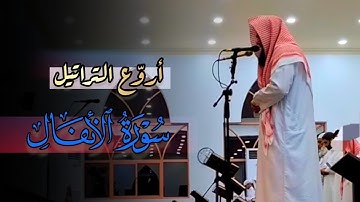 عشائية خاشعة تلاوة تحبيرية من سورة الأنفال للشيخ أنس العمادي 3 جمادى الأولى 1446 هـ
