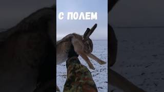 Охота на зайца.Тропление. #охота #охотаназайца #hunter #hunting #коллективнаяохота #сезонохоты