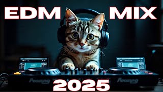 Download Lagu BEST EDM PARTY SONGS MIX 2025 | EDM CLUB HOUSE DANCE PARTY REMIXES OF POPULAR SONGS DJ MIXES 2025 MP3 Download Lagu BEST EDM PARTY SONGS MIX 2025 | EDM CLUB HOUSE DANCE PARTY REMIXES OF POPULAR SONGS DJ MIXES 2025 MP3