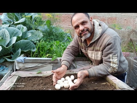 فيديو: ما كان طريق موسكو الدائري منذ أكثر من نصف قرن: سجلات مشكوك فيها ، وسرقة 10 سم من الطريق وحقائق أخرى غير معروفة