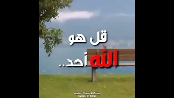 سورة الإخلاص😴♥️ | ياسر الدوسري