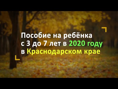 Пособие на ребёнка с 3 до 7 лет в Краснодарском крае в 2020 году